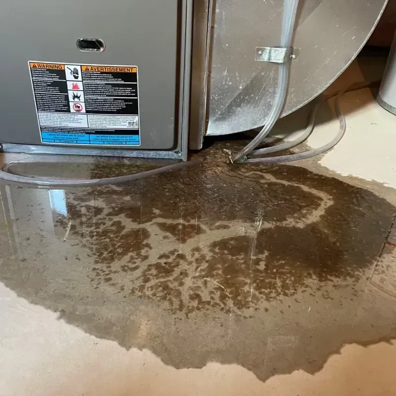 Appliance Leak Cleanup in Crofton, MD